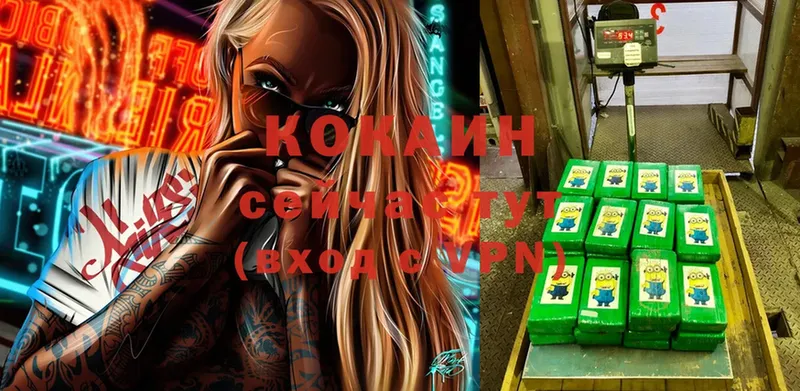 COCAIN 99%  Кашин 